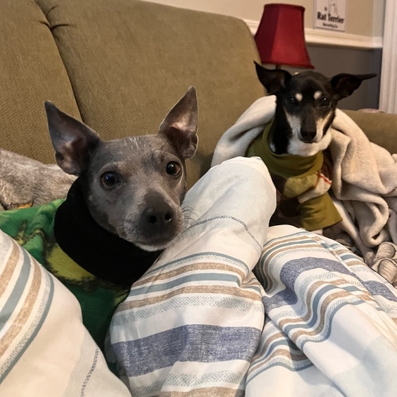 Meet your Posher, Sarah - Picture 3 of 17